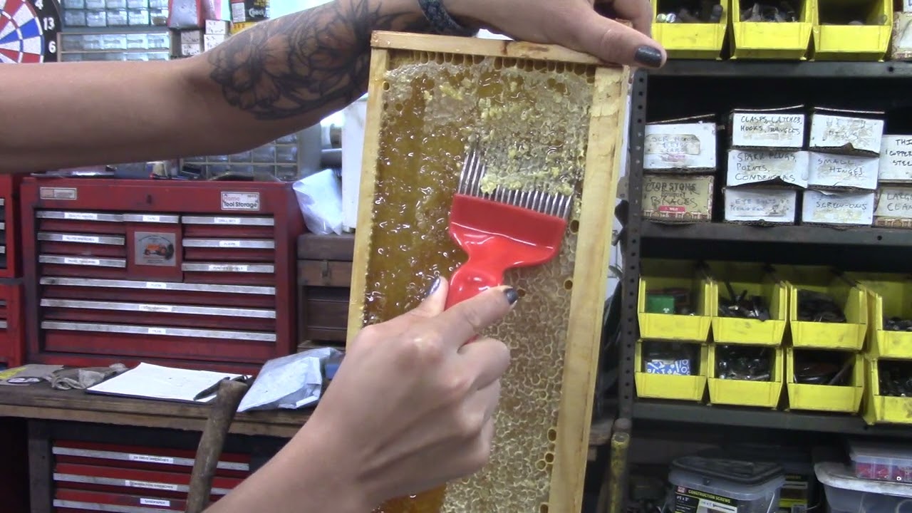 Honey Harvest 2022!