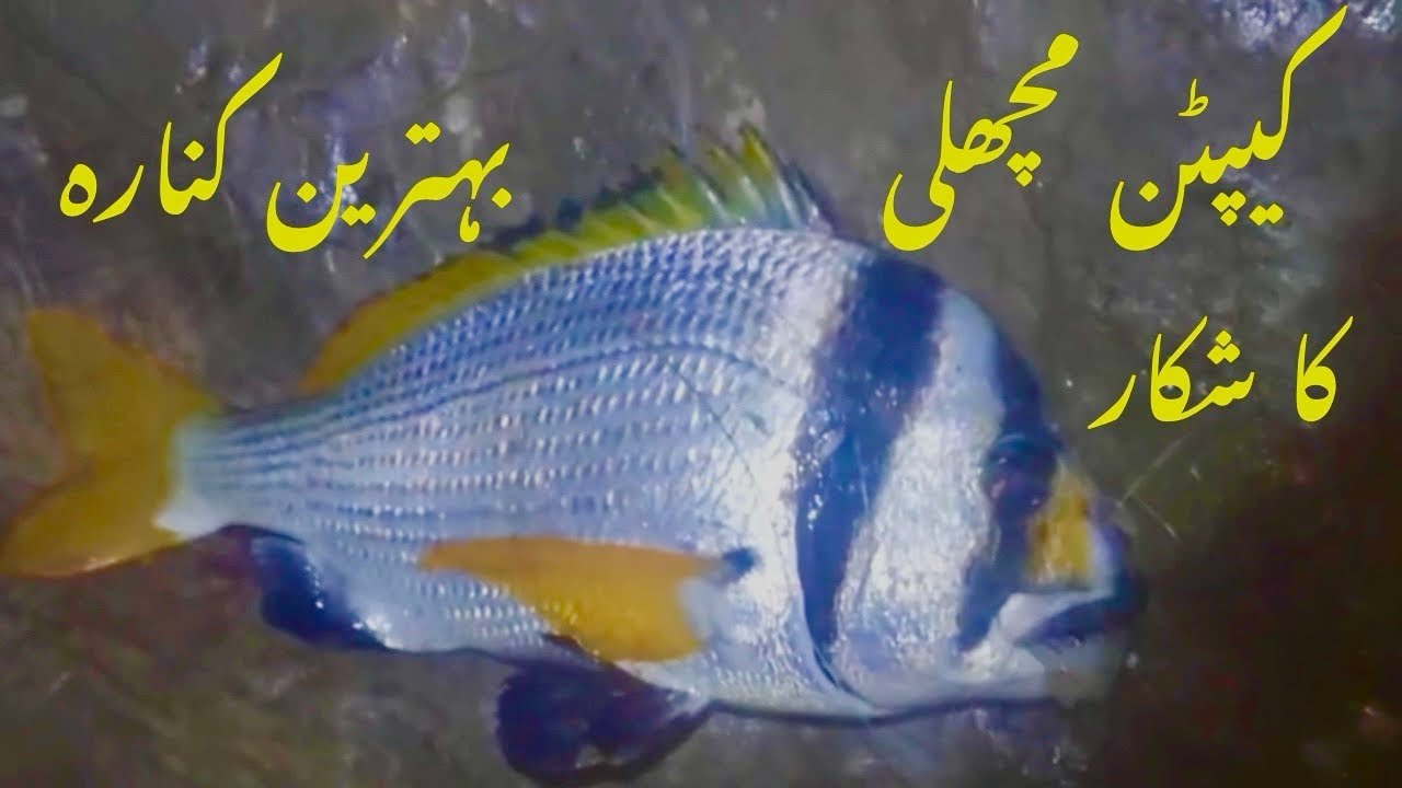 Sonehra fishing! Sonehra beach! Manjhar beach
