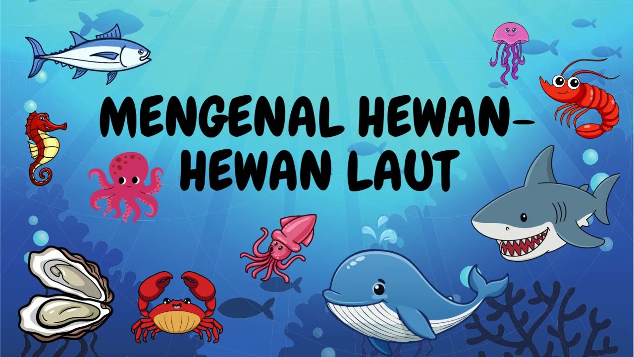 MENGENAL HEWAN YANG HIDUP DI LAUT
