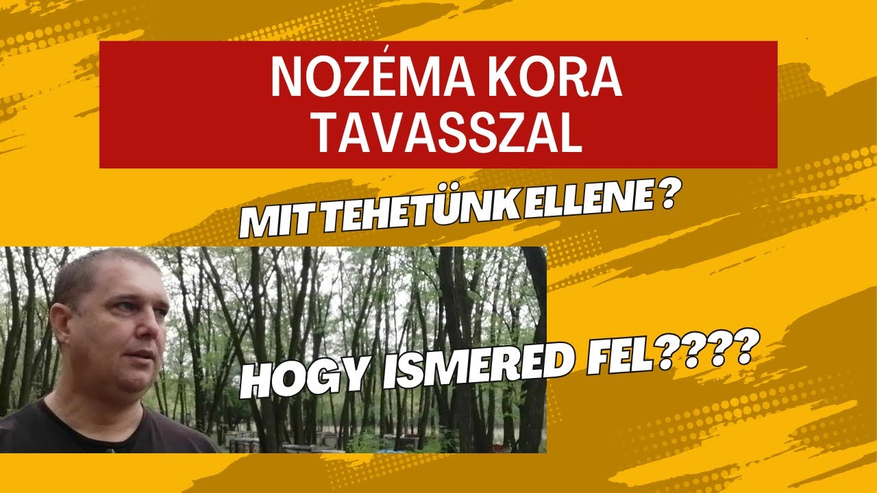 2025.03.05 Nozéma esetén mit tehetünk ma ?