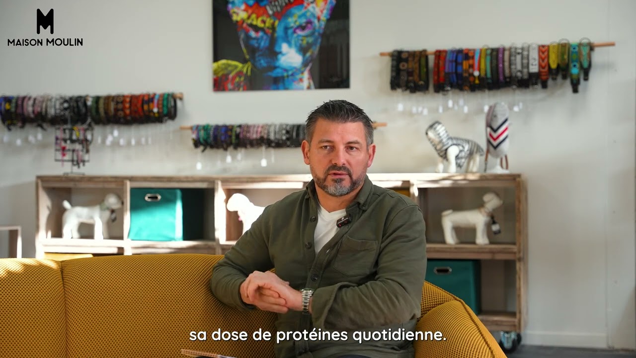 Episode 3 : Décryptage d'une composition de croquette pour chien ou chat. #croquettes #chien #chat