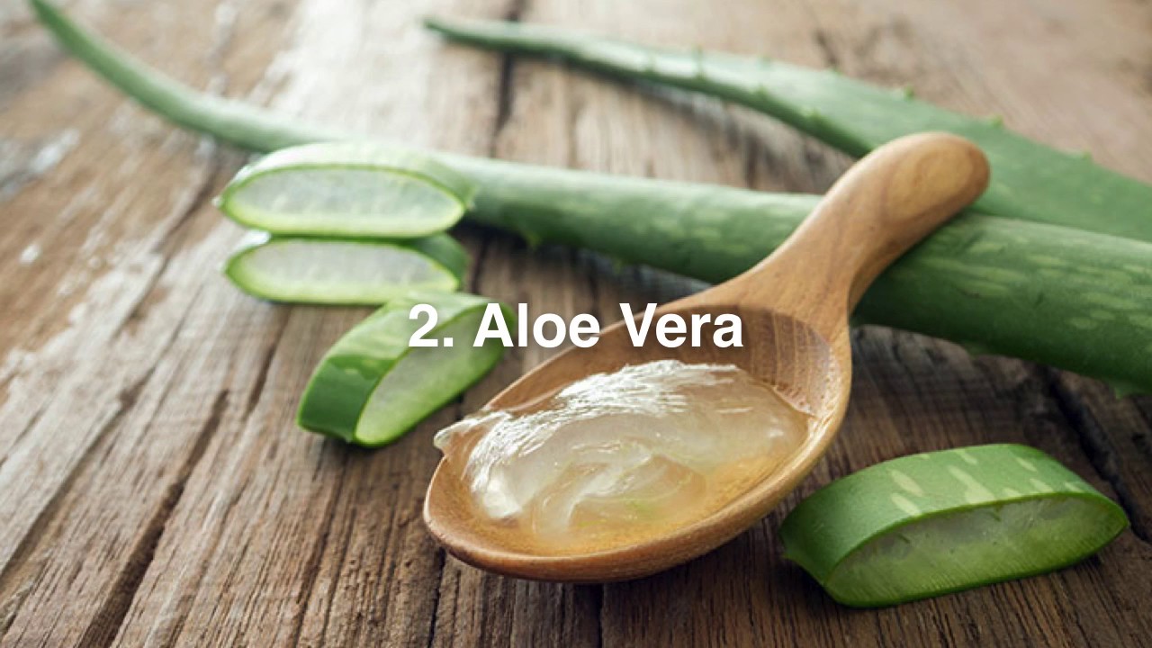 Home Remedies for Constipation in Dogs