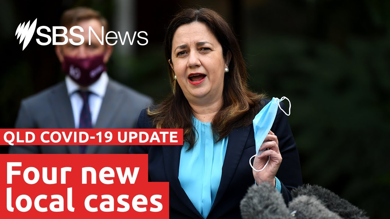 Watch: QLD COVID-19 update | SBS News
