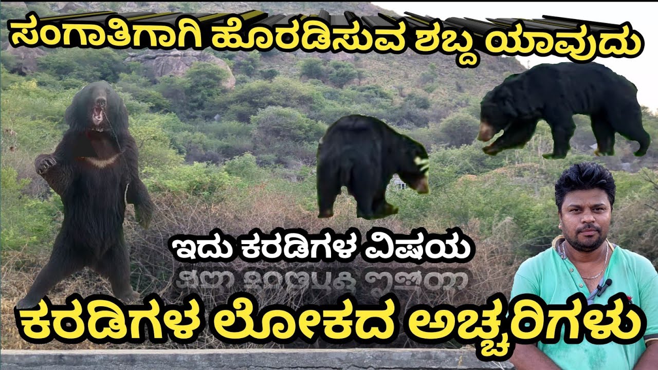 ಮಿಲನಕ್ಕಾಗಿ ಸಂಗಾತಿಯೊಡನೆ ಕಾಳಗಕ್ಕಿಳಿಯುವ ಕರಡಿಗಳ ಬದುಕಿನ ಅಚ್ಚರಿ! slothbear lifestyle