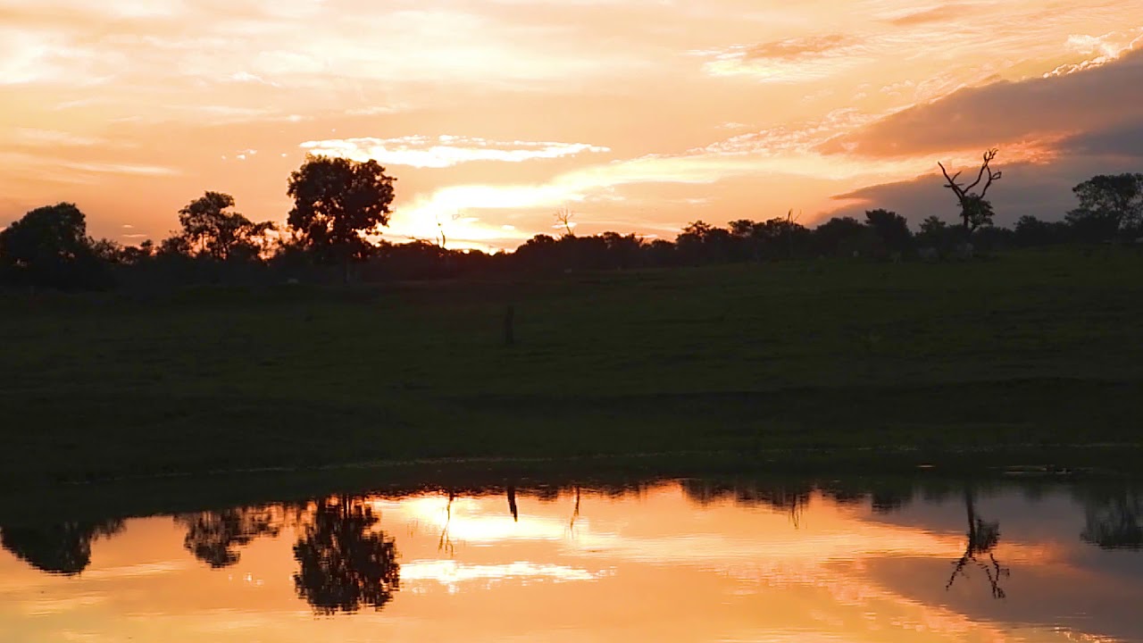 P&Ocirc;R DO SOL AO SONS Da CODORNA E  ANIMAIS DO CAMPO, VIDA NA FAZENDA, MUNDO RURAL, RELAXAMENTO CAIPIRA