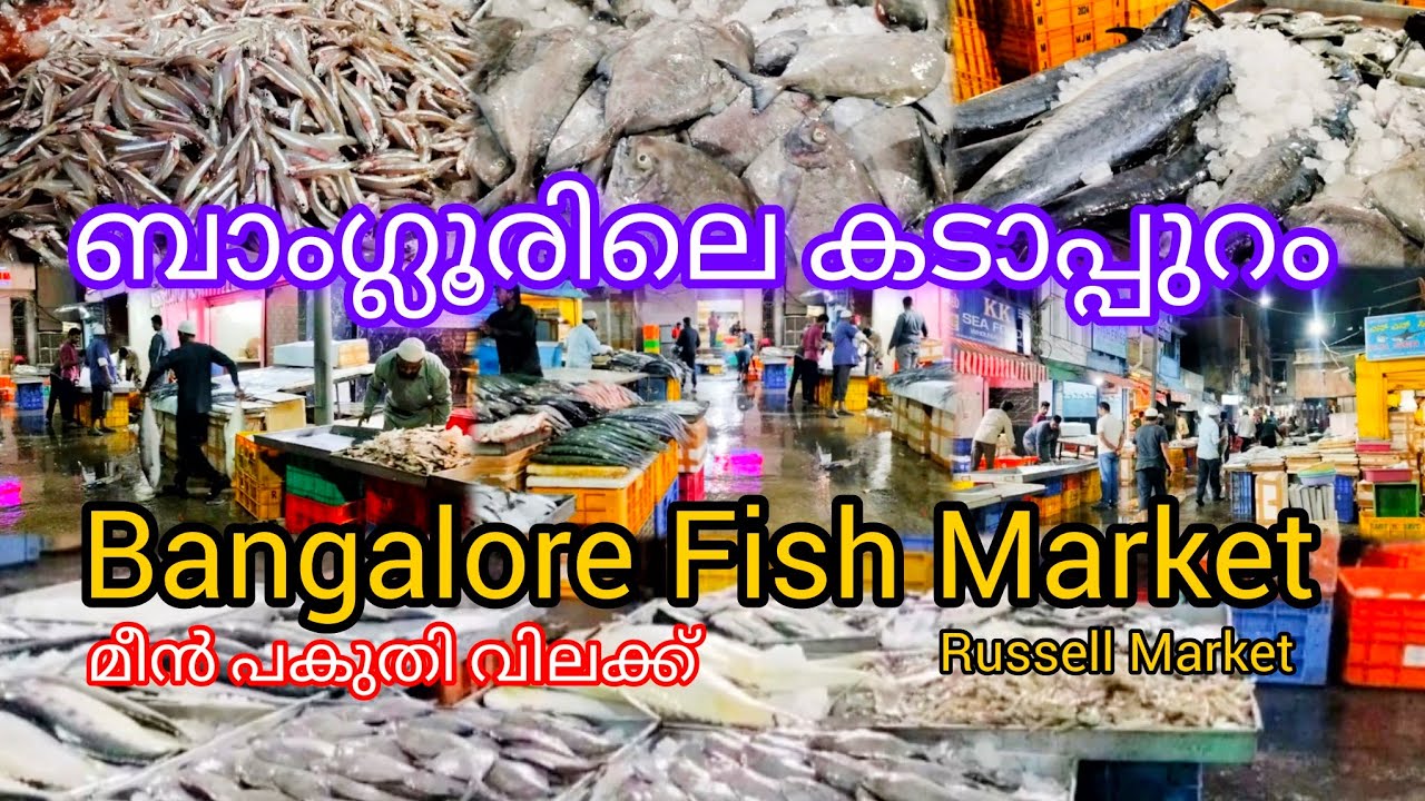 ബാംഗ്ലൂരിലെ മീൻ ചന്ത |  Bangalore Fish Market |Russell Market Shivaji Nagar #bengaluru #bangalore