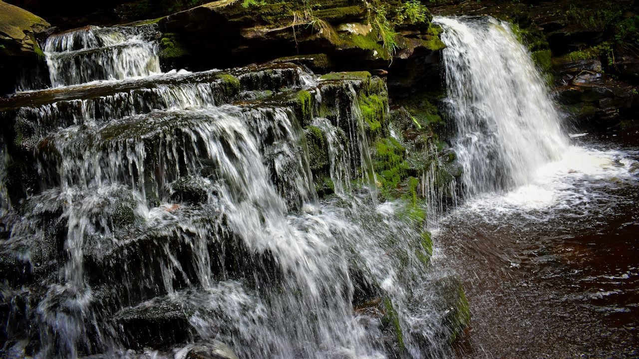 WARNING waterfAll extravaganZa ~ waterfalls of ricketts glen ~  