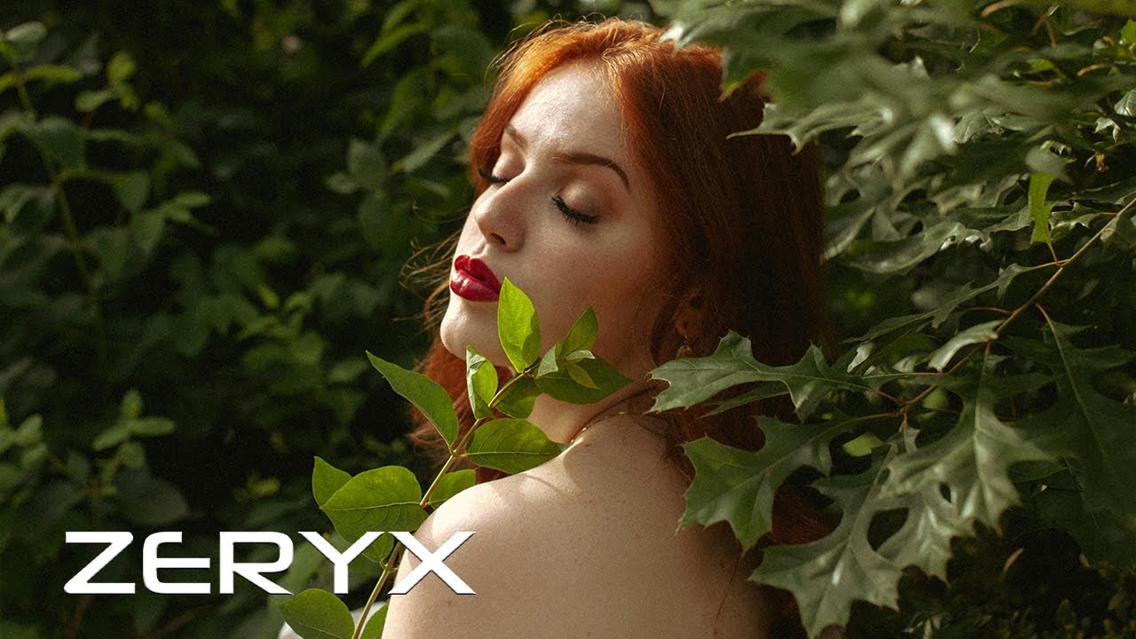 ZERYX - Road Lights (Original Mix)