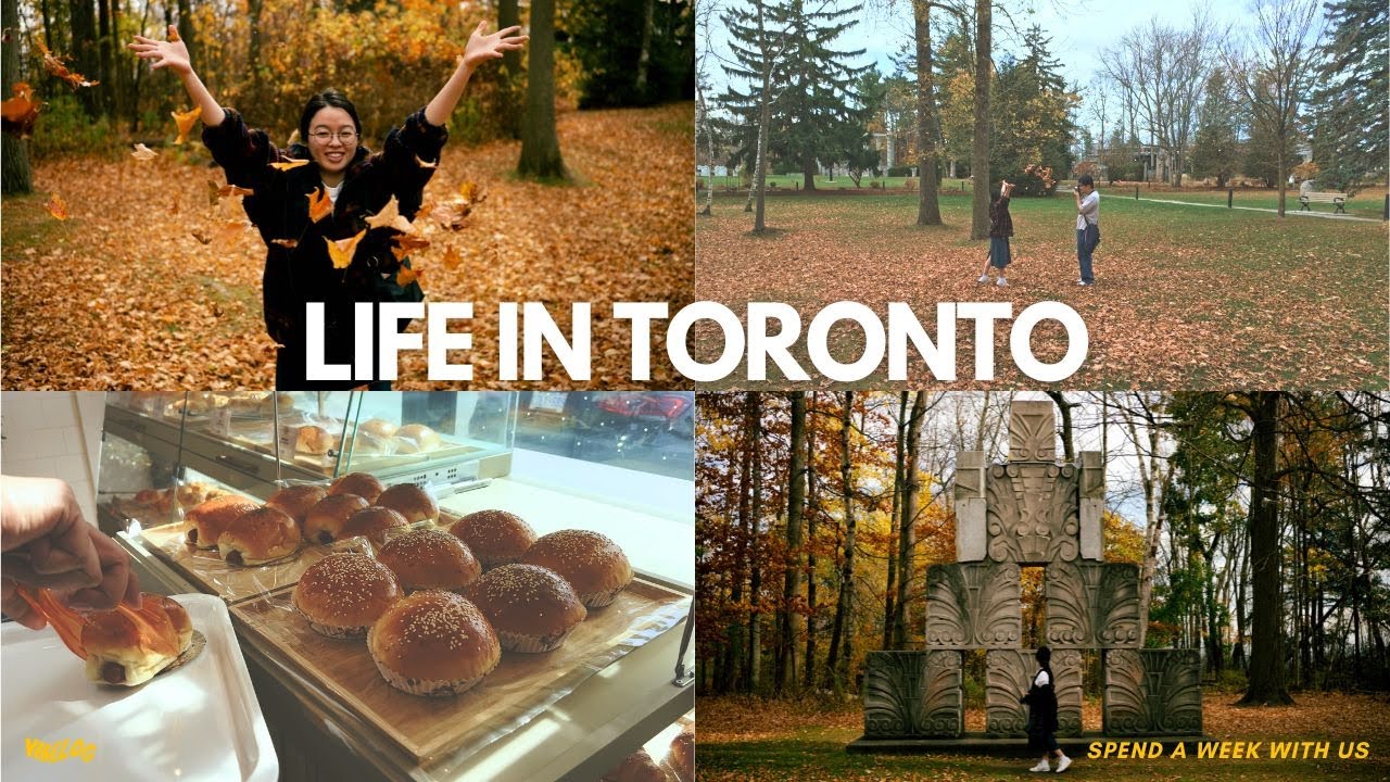 A week of cozy mundane moments (Beautiful park, Asian bakery, Yorkville and more) | Toronto vlog