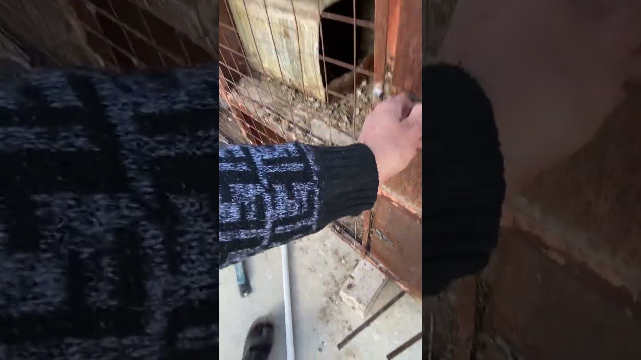 نصاد النا طير وجمعنا جواز  وتفقدنا الانتاج. 