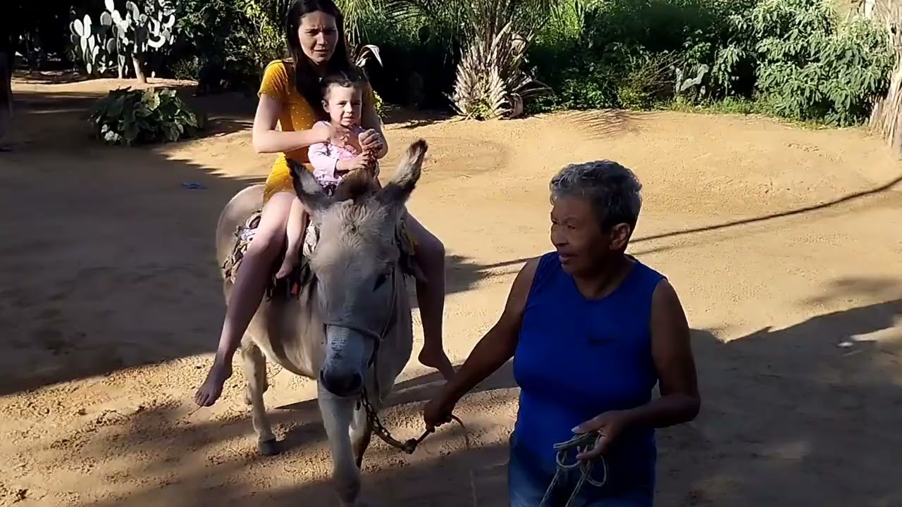 Na casa do tio Elesbão conhecendo o jumentinho