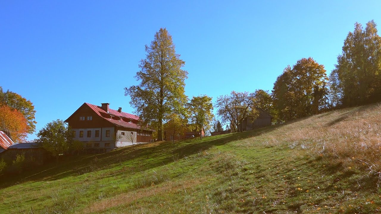 Fajkówka w Beskidzie Żywieckim