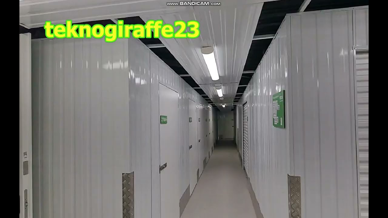 The Runing Giraffe23 02072025