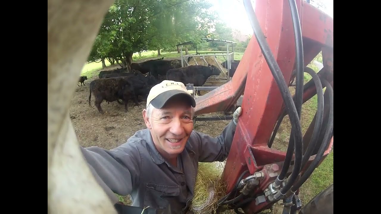 wilder Galloway Stier