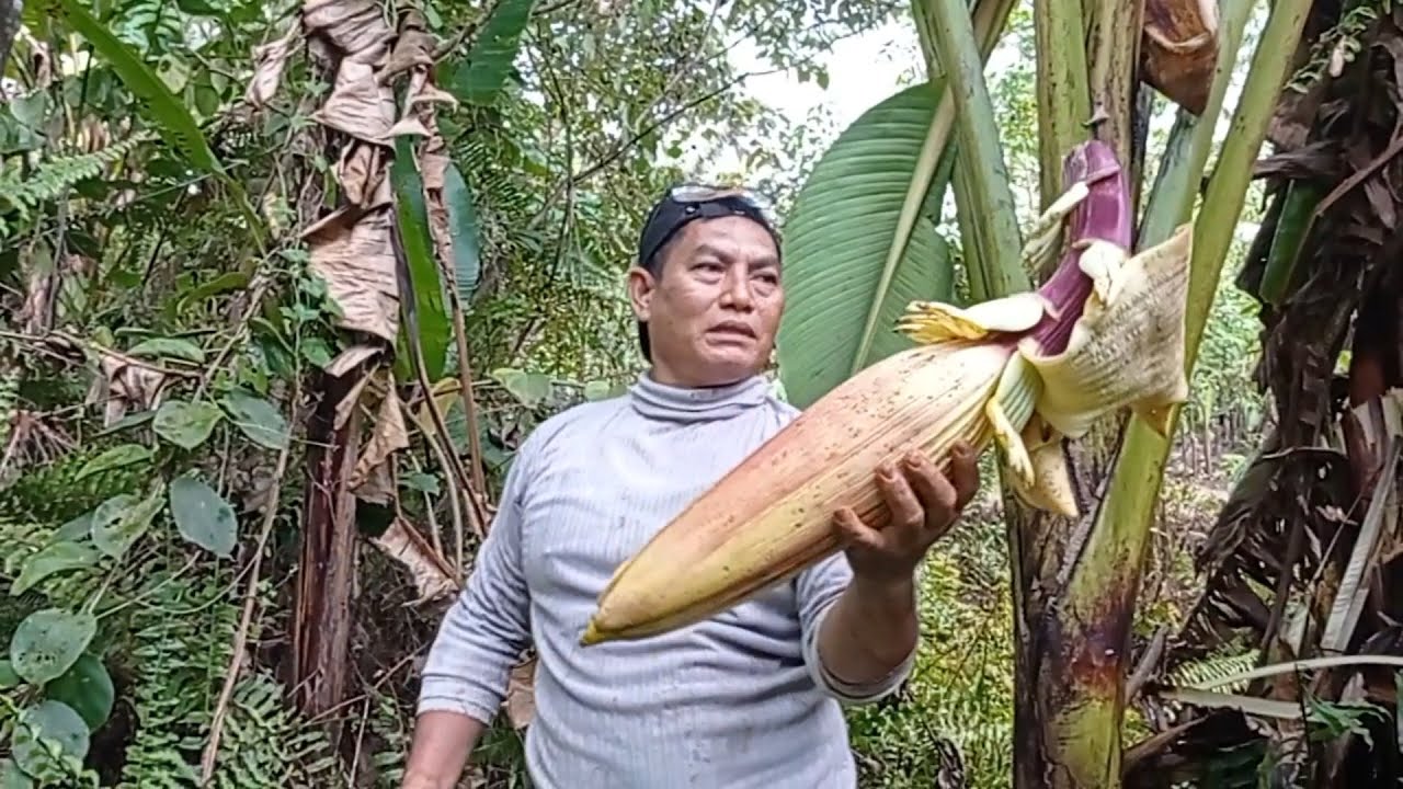 Buat Lauk Sederhana dari Jantung Pisang Hutan