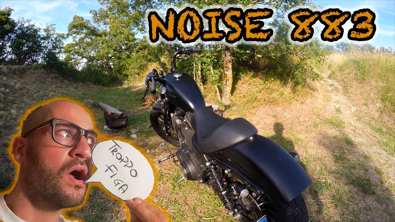 Modifiche alla mia Harley - Harley Davidson Sportster 883 Iron