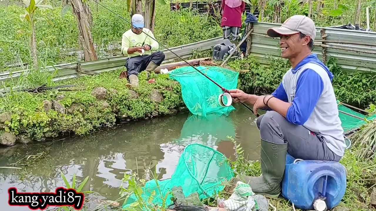 GILAAA // BARU KALI INI MANCING BORONGAN KOLAMNYA DI KERANGKENG SEPERTI KANDANG HARI MAU.part.1