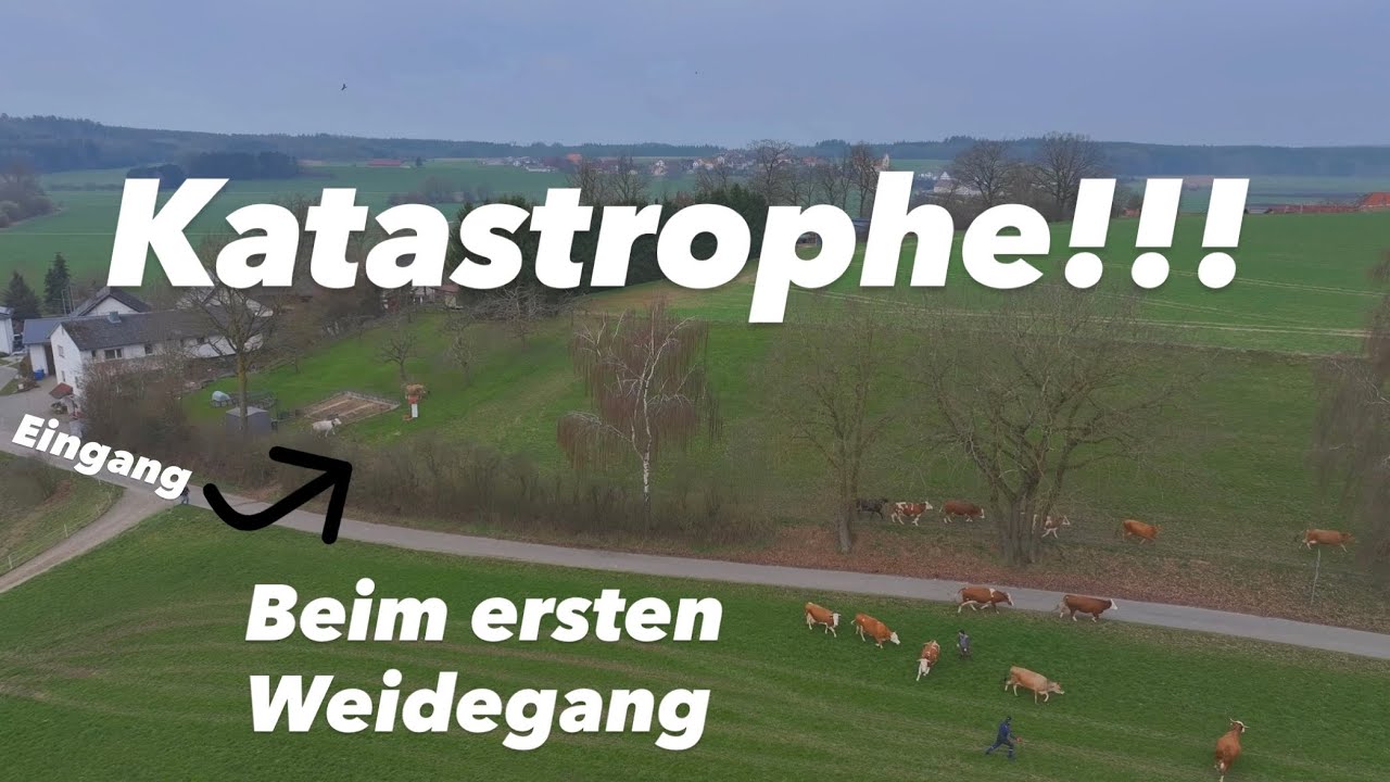 Wiesen Eggen | Weideaustrieb | Fr&uuml;hjahrsputz 🧹 