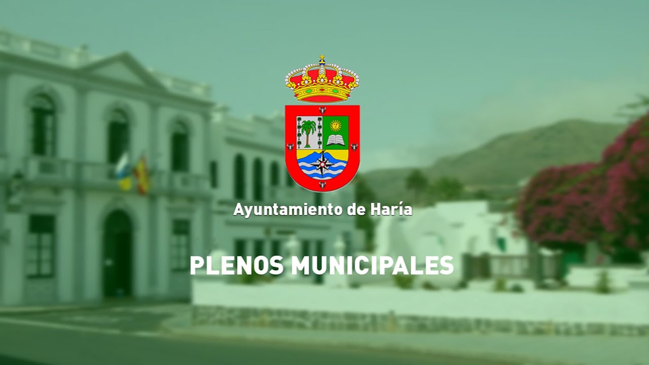 Pleno Extraordinario y Urgente 30 de junio de 2025