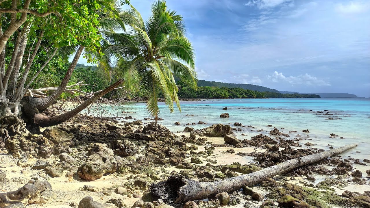 Lonnoc Beach & Hog Harbour Village - Walking Tour and Snorkeling (Espiritu Santo-Vanuatu)