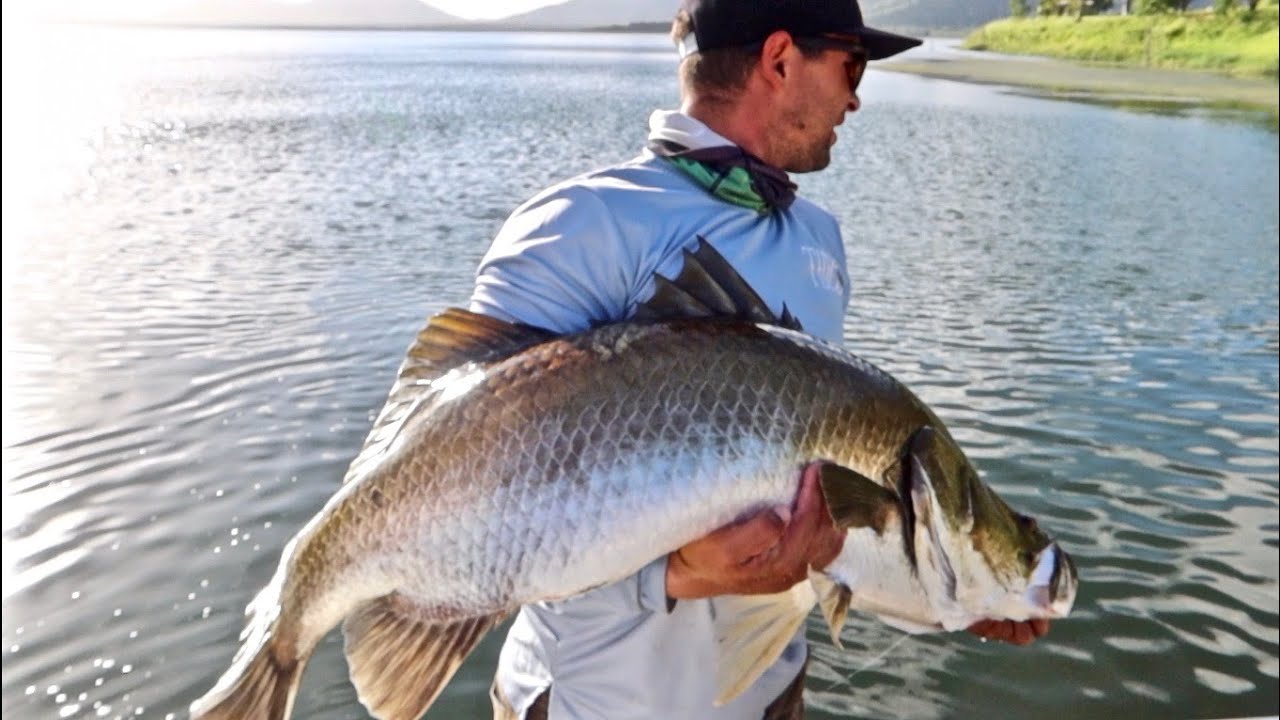 FEEDING FRENZY at the boat ramp
