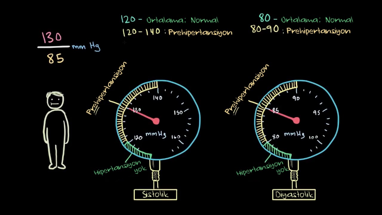 Hipertansiyonun Evreleri (Fen Bilimleri) (Sağlık ve Tıp)