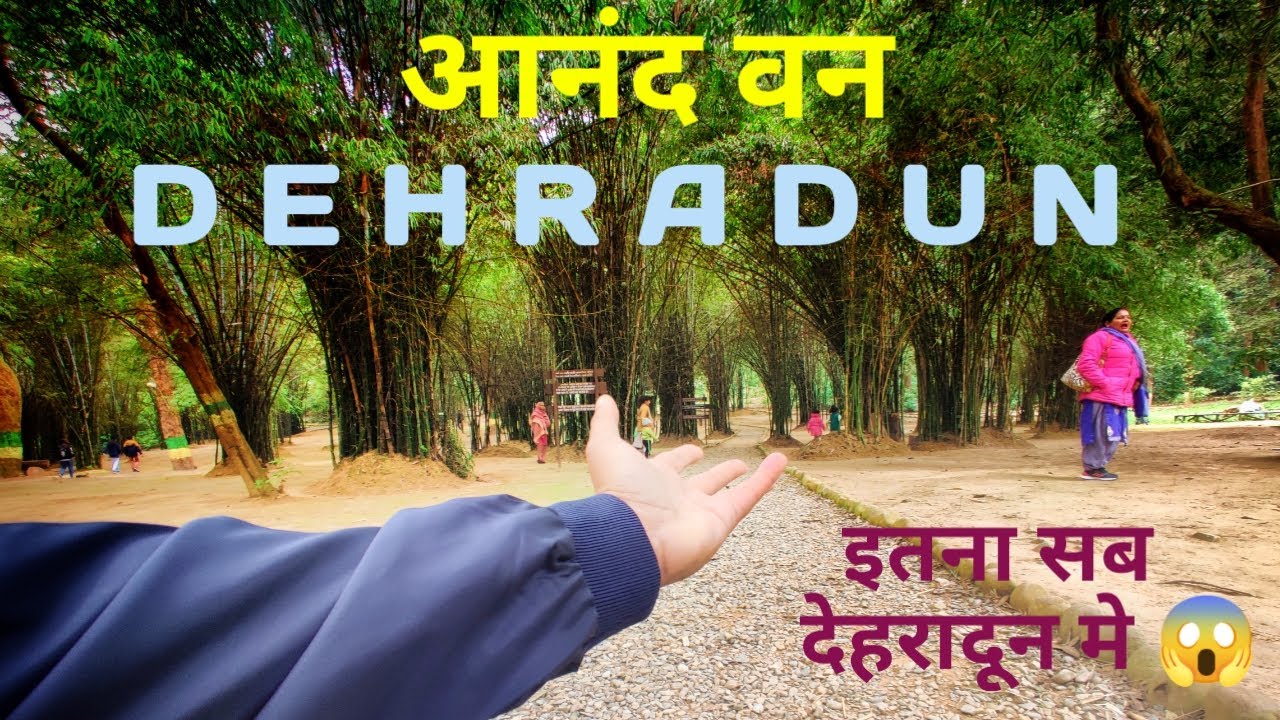 उत्तराखंड का नया खूबसूरत पर्यटन स्थल😍 || Anand van dehradun 2025 #cultureexchange