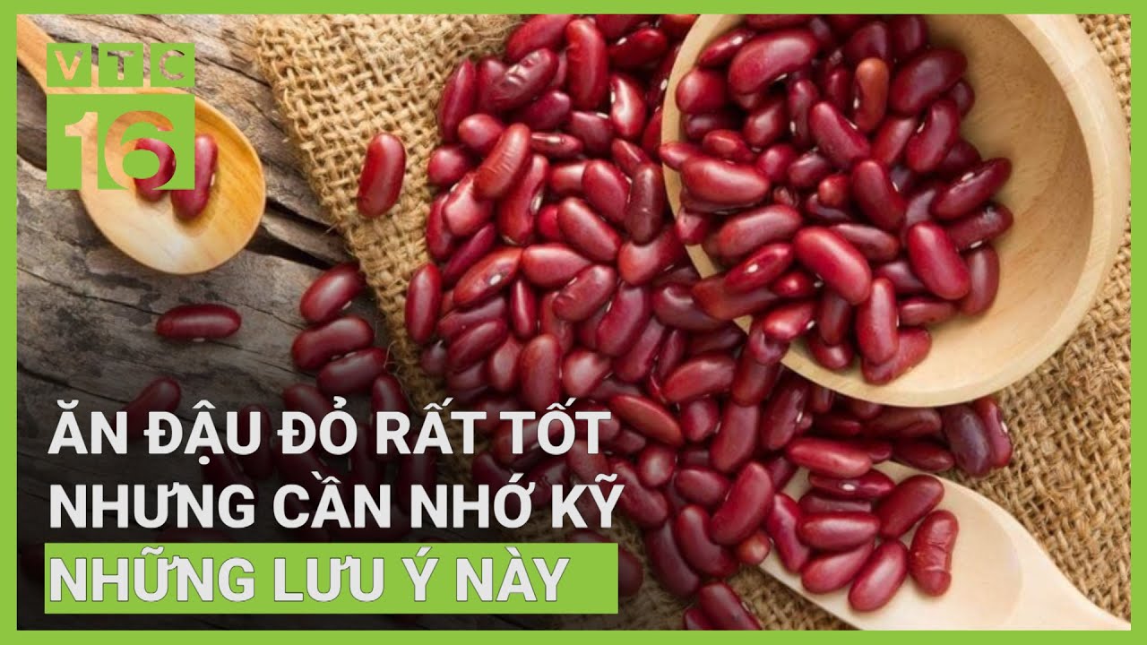 Đậu đỏ: Vị thuốc trị bệnh gan, mật, công dụng bất ngờ | VTC16