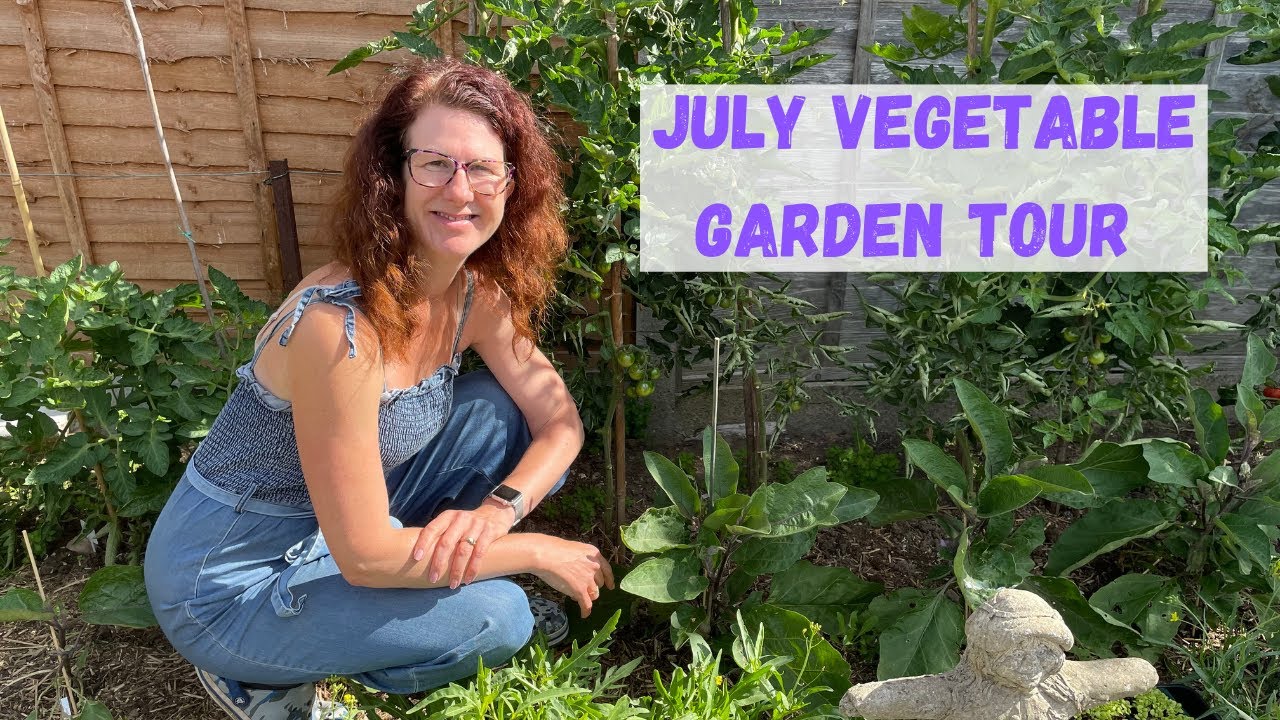 July Vegetable Garden Tour - UK Allotment Gardening