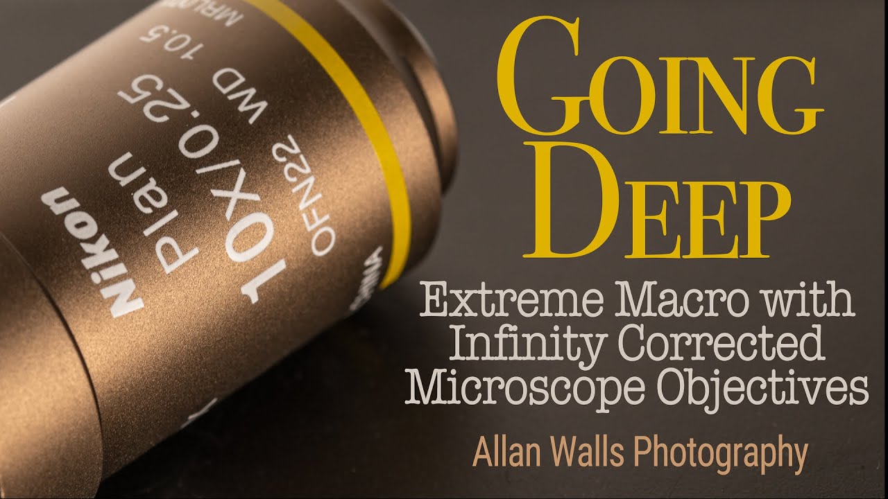 Going Deep - Part I - Extreme macro with infinity corrected microscope objectives