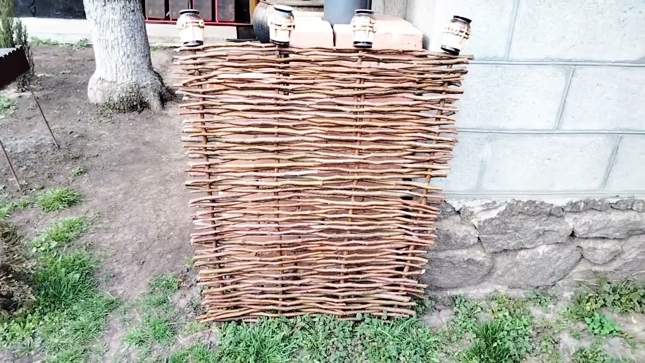 Паркан плетений з гілочок груші. Цвіте верба Кілмарнок.