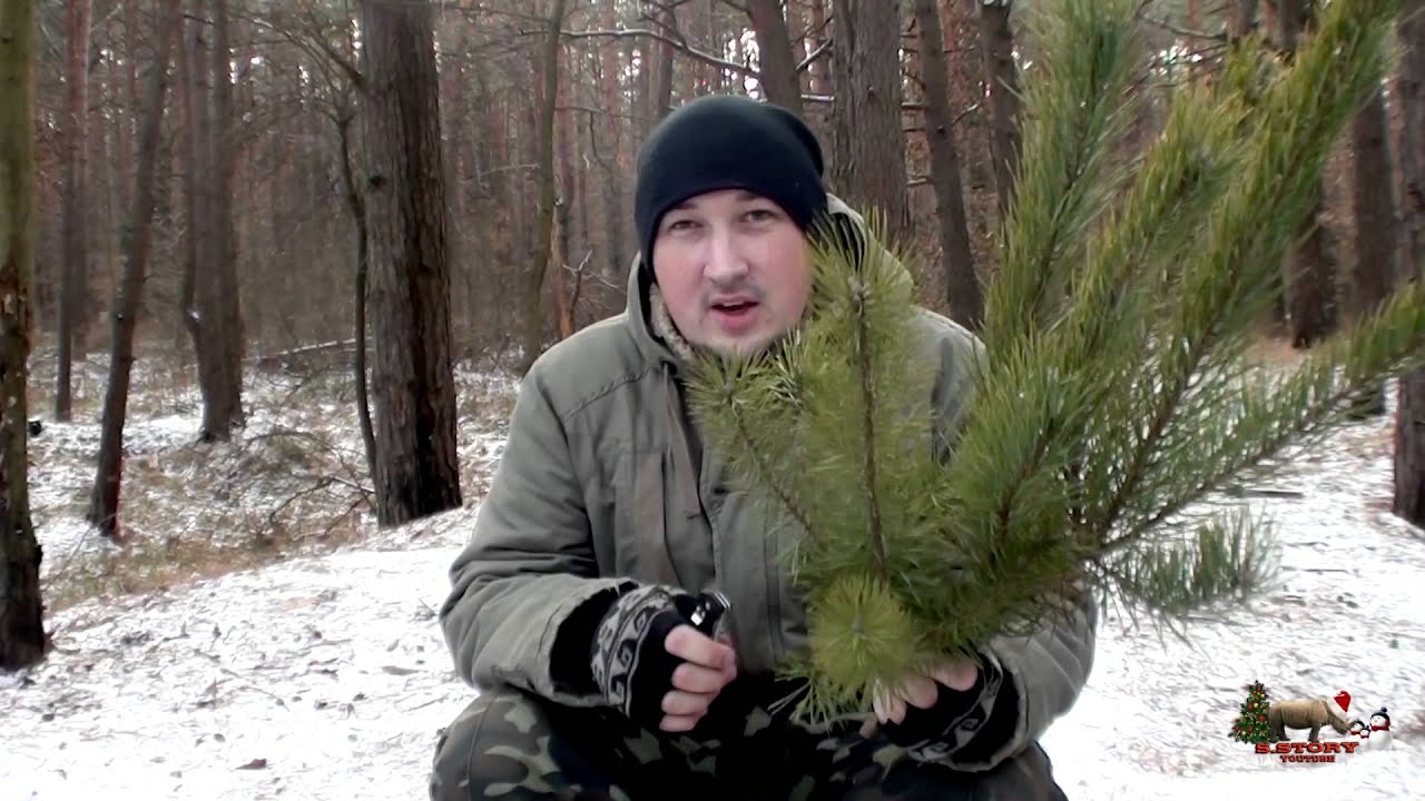 Пару веток и пенёк вот на ёлочку намёк:)
