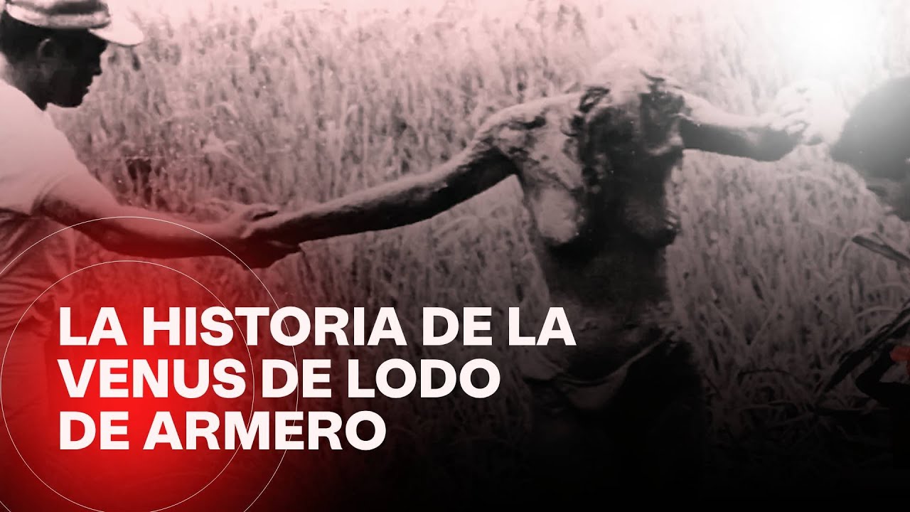 La venus y su fotógrafo, una historia donde el dolor se transforma en vida