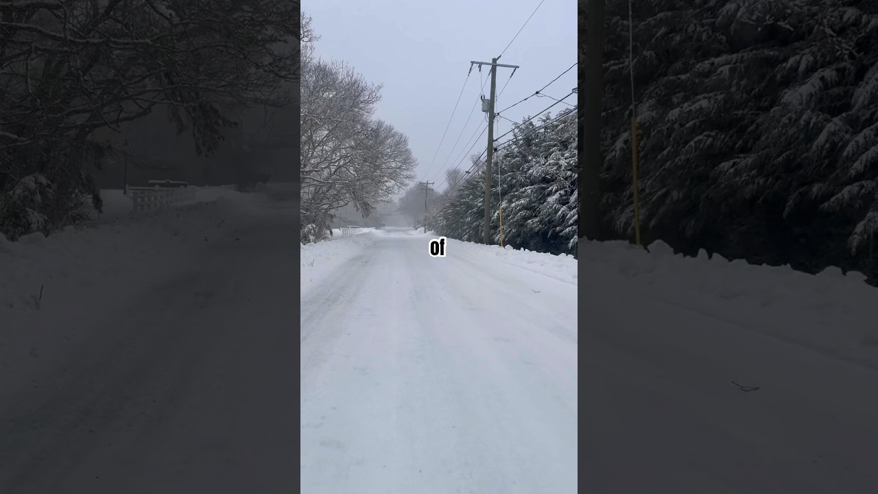 Blizzard of 2026 Cape Cod: Part 2 #capecod #snow #winter #blizzard