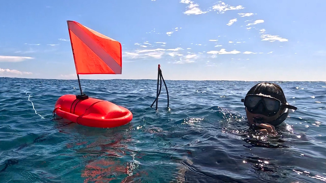 Spearfishing New Zones For Fresh Fish in Hawaii | Catch n Cook