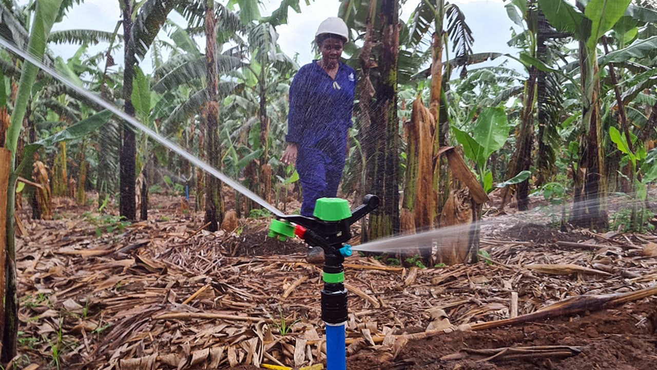 Sprinkler irrigation using fixed Yuzuak Atom 14 medium Full and Part circle sprinklers