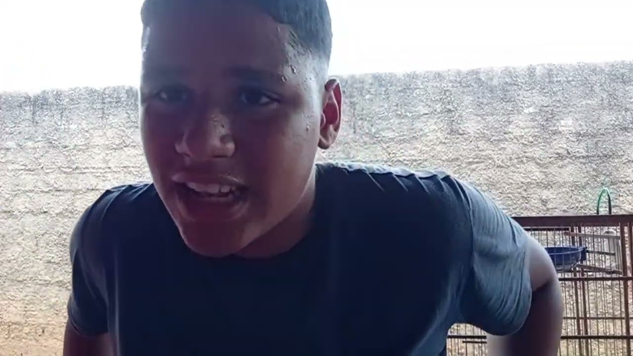 Mostrando os canário belga 