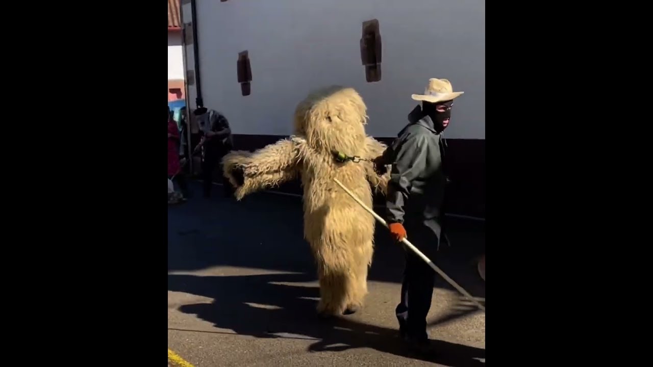 El ‘Hartza’ hace de las suyas en Arizkun