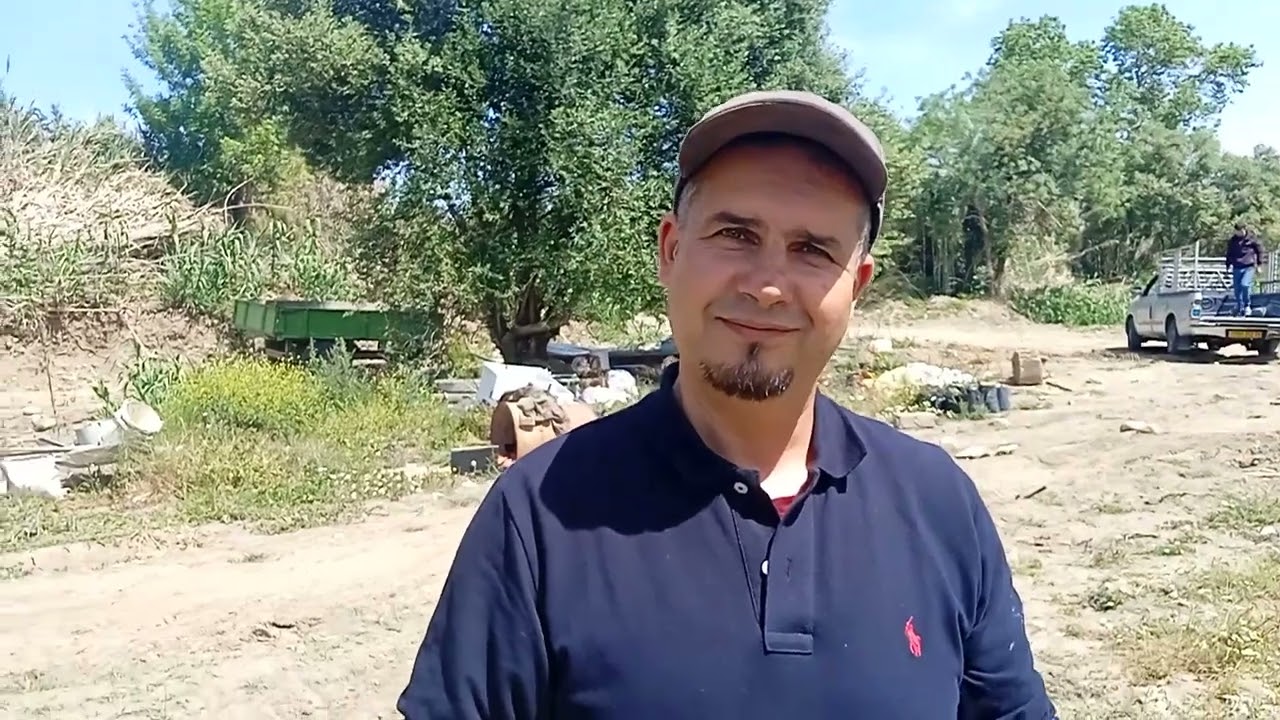 Le greffage en écusson des agrumes