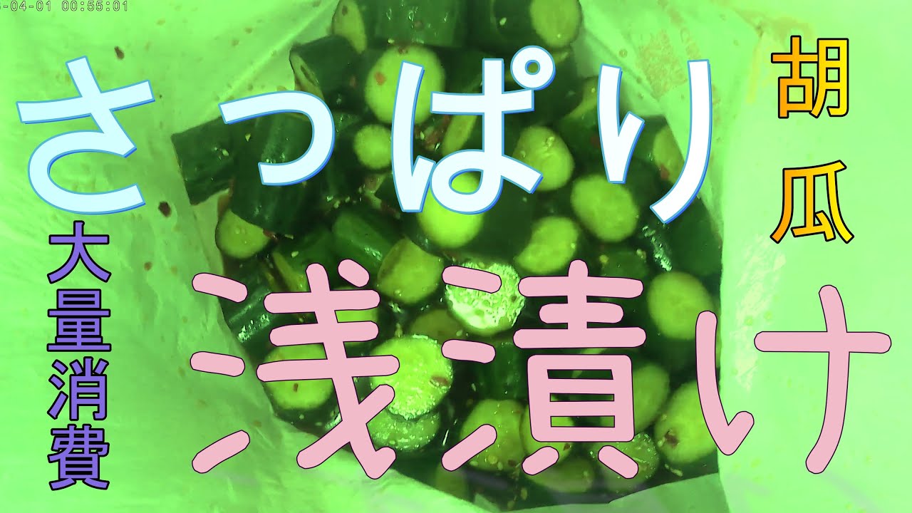 きゅうりの浅漬け【妥協めし】《料理》〈自炊〉【おうちごはん】