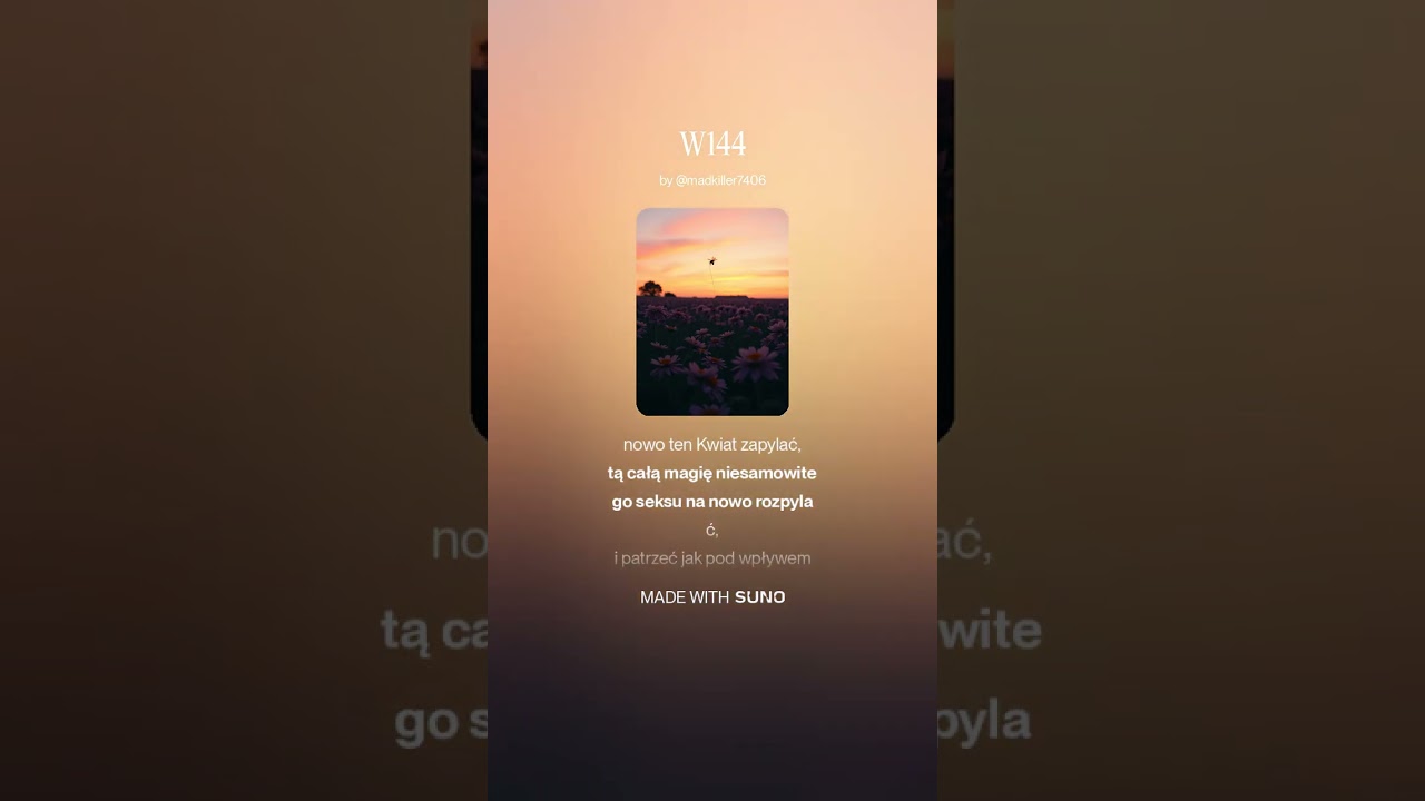 W144 20