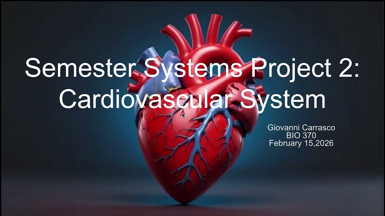 Semester Systems Project 2