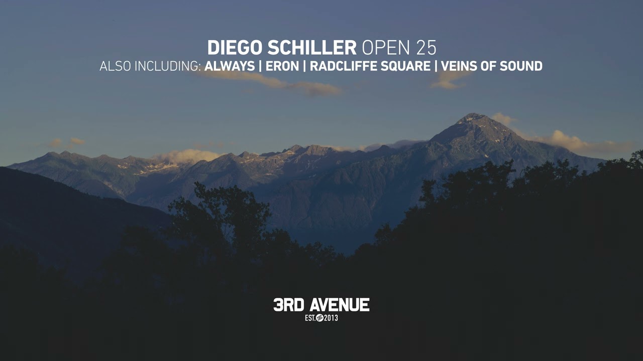 Diego Schiller - Veins of Sound [3rd Avenue]