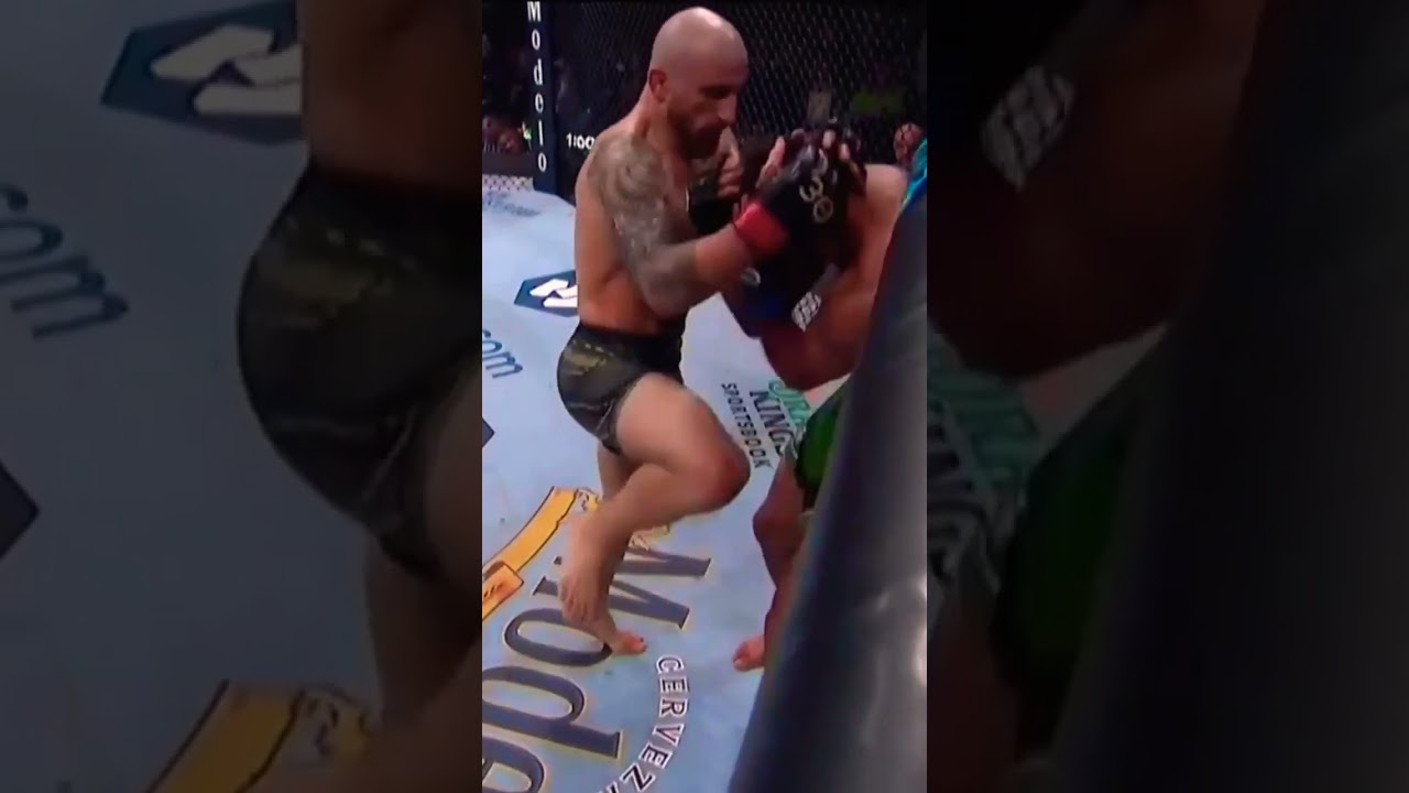 UFC 290. Александр Волкановски - Яир Родригес(нокаут)
