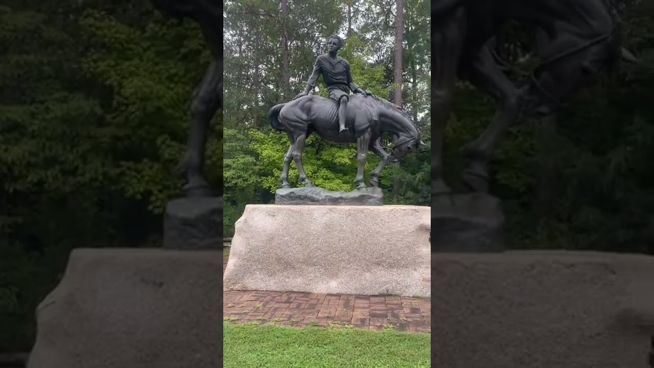 Andrew Jackson State Park