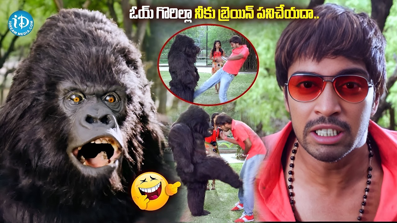 ఓయ్ గొరిల్లా నీకు బ్రెయిన్ పనిచేయదా.. | Allari Naresh Comedy With Gorilla |@idreamkarimnagar