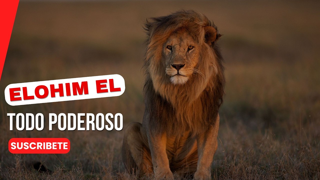 | Pastora Marisol Rodriguez ELOHIM  ES EL TODO PODEROSO