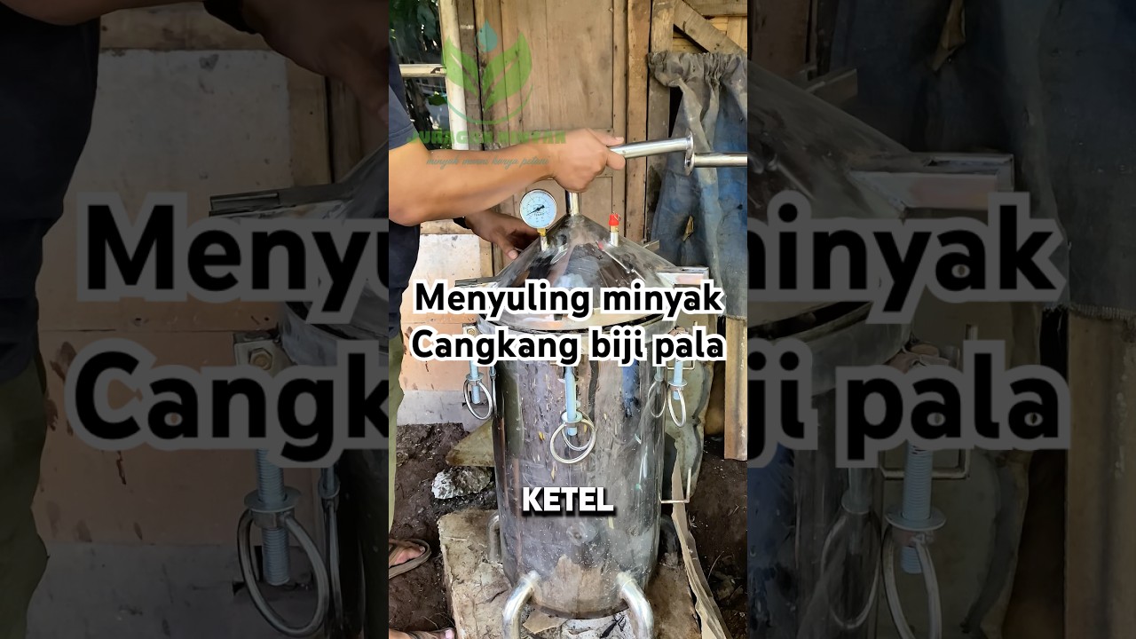 Menyuling minyak atsiri cangkang biji pala menggunakan destilasi penyulingan kecil mini