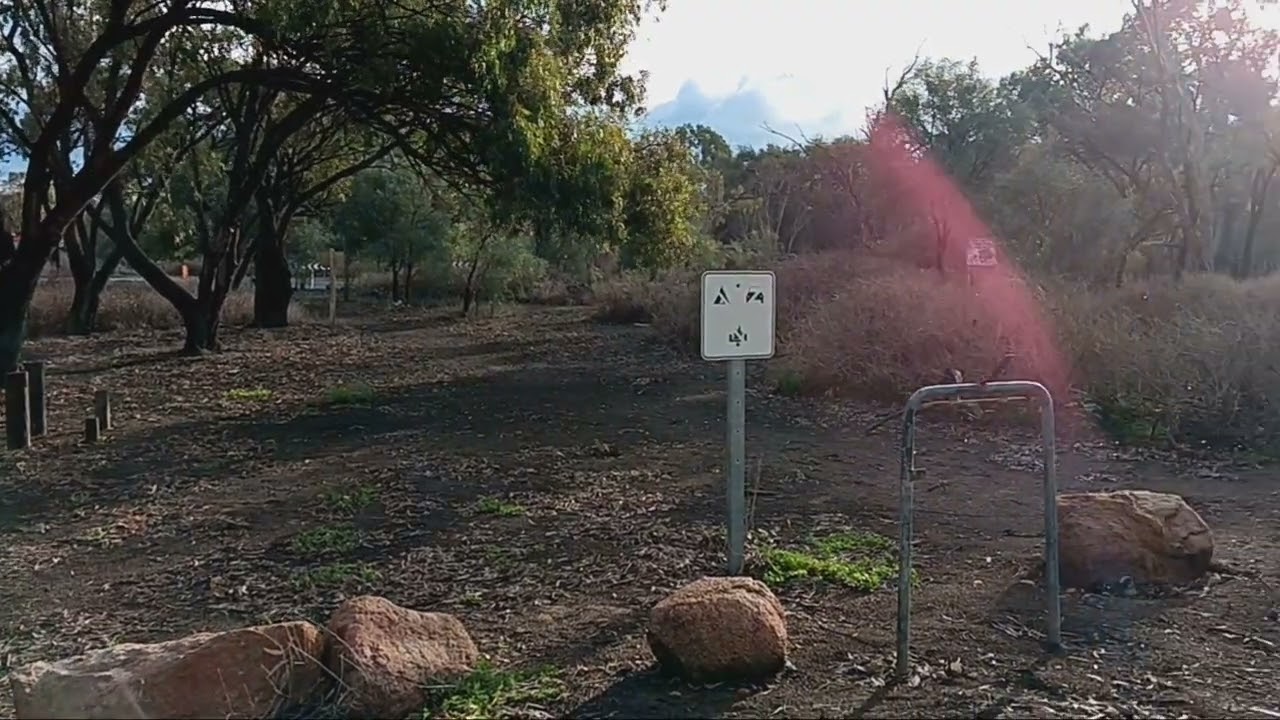 | Swan Reach | free camp ground 🏕 #ferry #freecamping #murrayriver #petfriendly 🦧🐕&zwj;🦺🐅