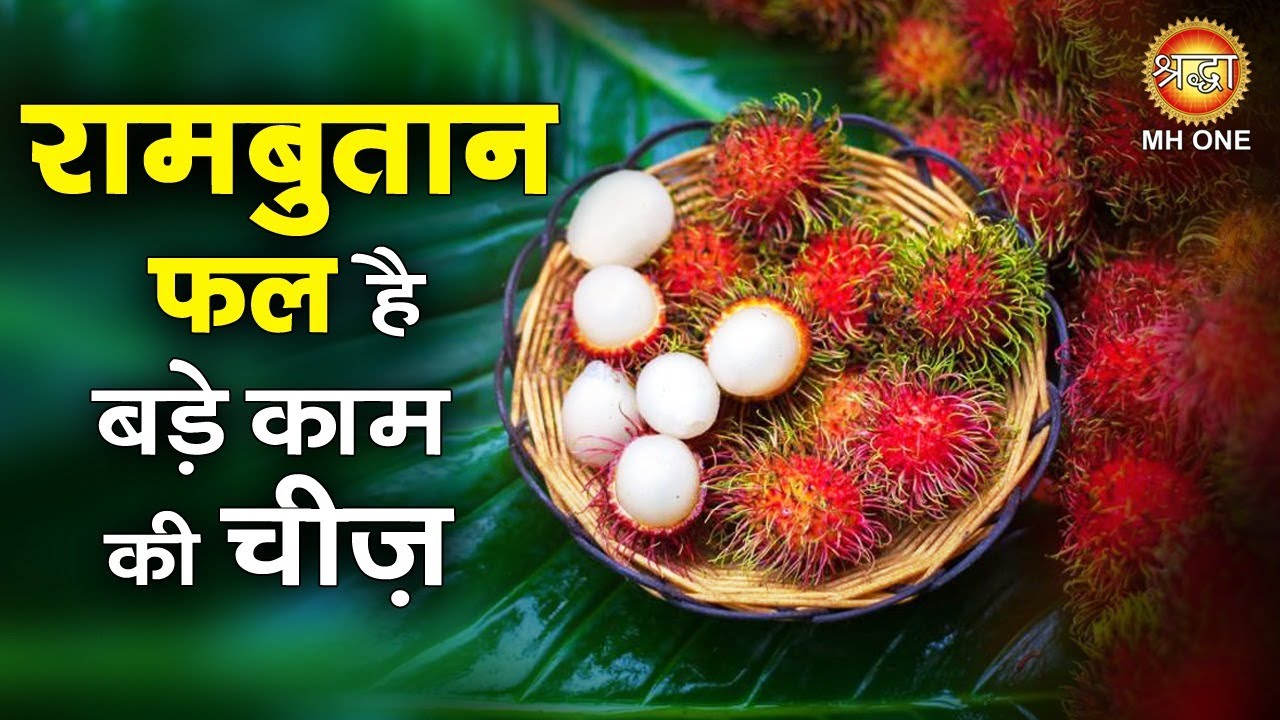 रामबुतान फल है बड़े काम की चीज़ | Rambutan Fruit Benefits | Rambutan Ke Fayde | Hairy Lychee